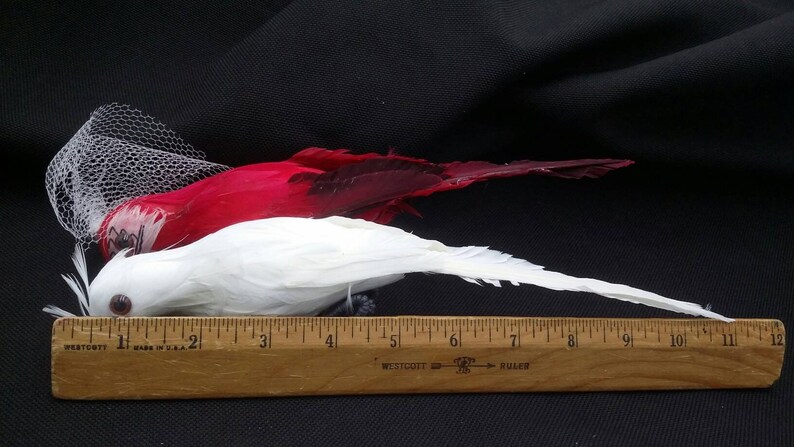 Wedding Cake Topper, Centerpiece, Two Parrot Birds With Real Feathers ...