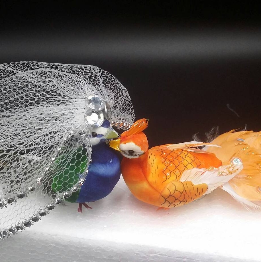 Bride,Party Set of 2,Gift Wedding Cake Topper,Feather Peacock Birds,Handmade Bride,Party Set of 2,Gift Wedding Cake Topper,Feather Peacock Birds,Handmade