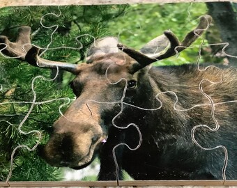 8 x 10 Animal Jigsaw preschool moose puzzle