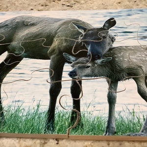 8 x 10 wooden Animal Jigsaw preschool deer Montessori puzzle
