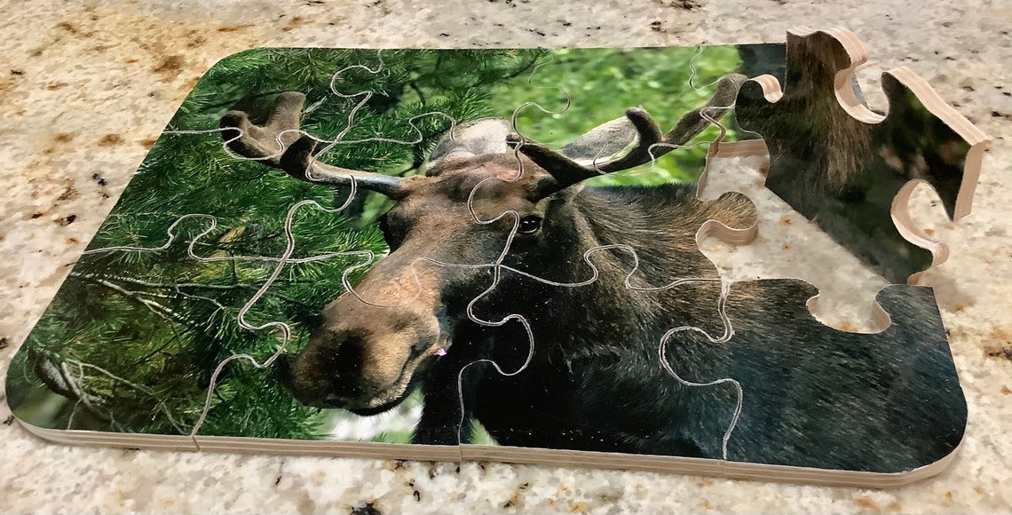 8 X 10 Animal Jigsaw Preschool Moose Puzzle Etsy