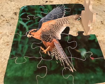 8 x 10 Wooden Bird Montessori jigsaw  Puzzle
