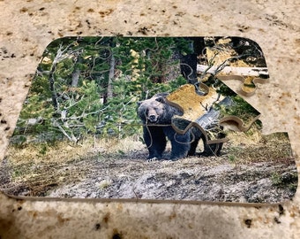 8 x 10 Animal Jigsaw preschool bear puzzle