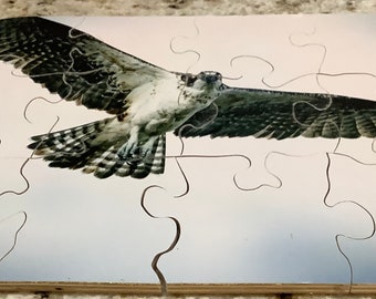 8 x 10 Animal Jigsaw preschool hawk wooden Montessori puzzle