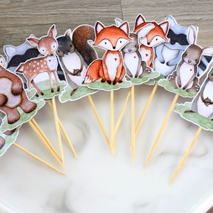 12 Woodland Cupcake, Cupcake Toppers, Baby Shower, Fox Bear Deer Rabbit Raccoon Skunk & Squirrel, Baby Shower Decorations - S0005