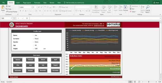 Bmi Calculator Health Tracker For Adults Excel Template Etsy