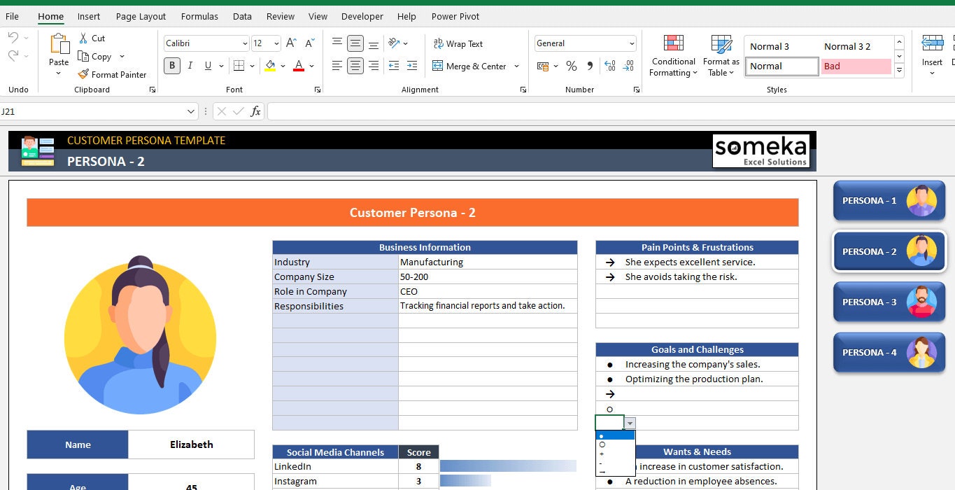Buyer Persona Excel Template Excel Template User Research Buyer Persona
