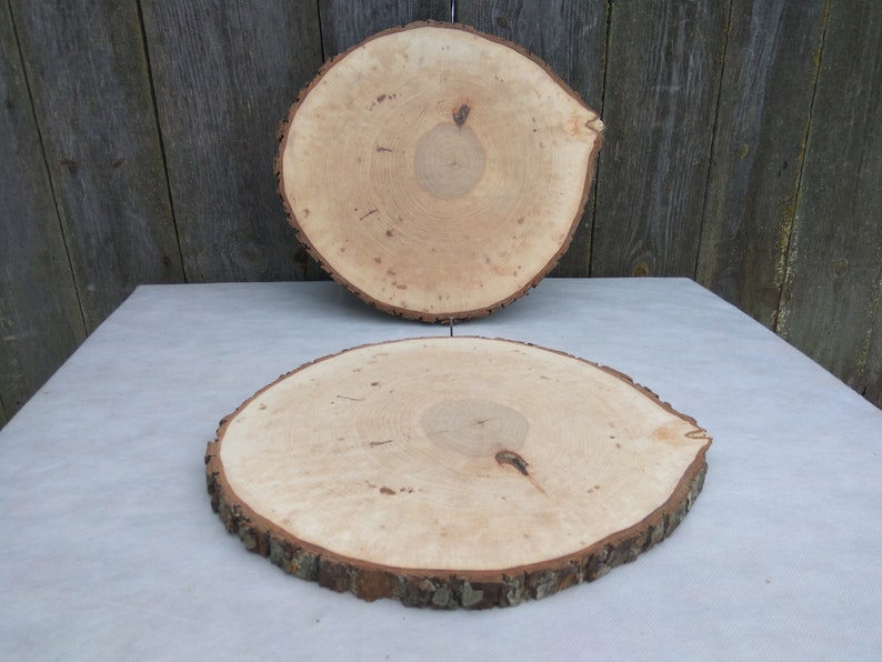 1213,Large Alder Wood Slice 12-13 inch,wood slice,wood slab,wood coaster,wood platter,Rustic Wedding Decor,Cake Stand,Wedding Centerpiece image 8