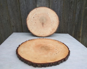 14"-15" Large Alder Wood Slice, 14-15 inch wood slice