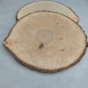 1213,Large Alder Wood Slice 12-13 inch,wood slice,wood slab,wood coaster,wood platter,Rustic Wedding Decor,Cake Stand,Wedding Centerpiece image 10