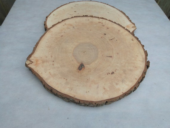 Set of 12-13 Inch Wood Slices for Wedding Centerpieces Large Wood Slices  for Centerpieces, 12 Inch Wood Slices, 13 Inch Wood Slices 