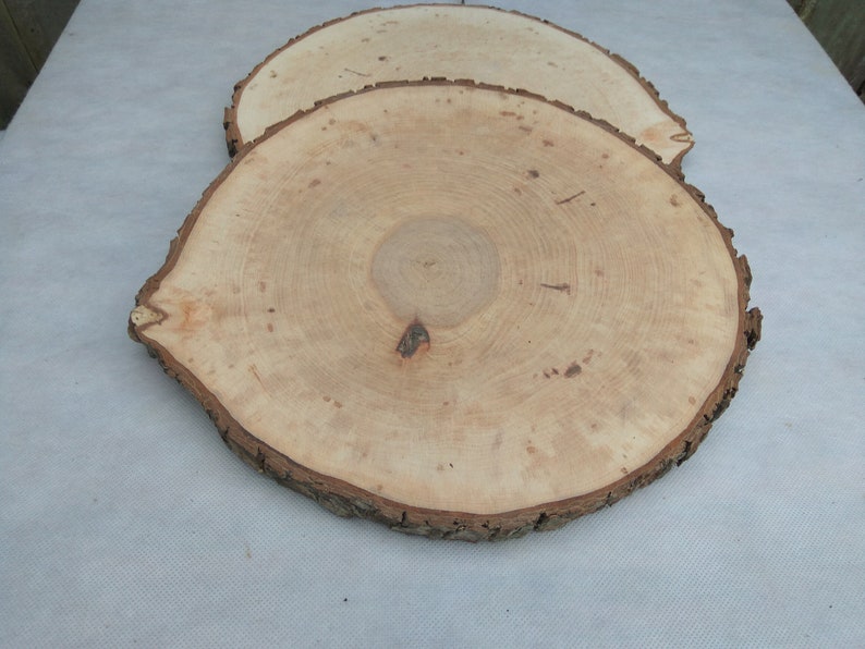 1213,Large Alder Wood Slice 12-13 inch,wood slice,wood slab,wood coaster,wood platter,Rustic Wedding Decor,Cake Stand,Wedding Centerpiece image 10