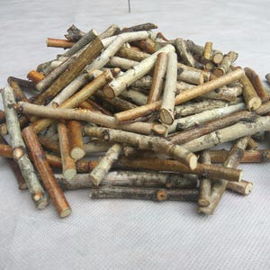 Birch sticks, 100 small birch wood sticks, Birch branches