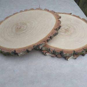 13-14 inch Large Birch Wood Slice, 13&quot;-14&quot; wood charger, large wood slab, wood platter, Rustic Wedding Decor, Cake Stand,Wedding Centerpiece