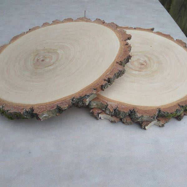 13-14 inch Large Birch Wood Slice, 13"-14" wood charger, large wood slab, wood platter, Rustic Wedding Decor, Cake Stand,Wedding Centerpiece