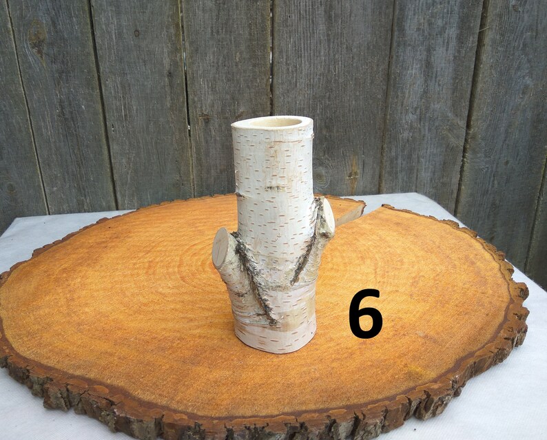 Large birch log vase birch decor birch bark decor table Etsy