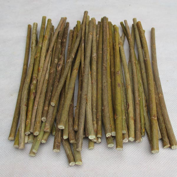 Willow twigs, willow sticks