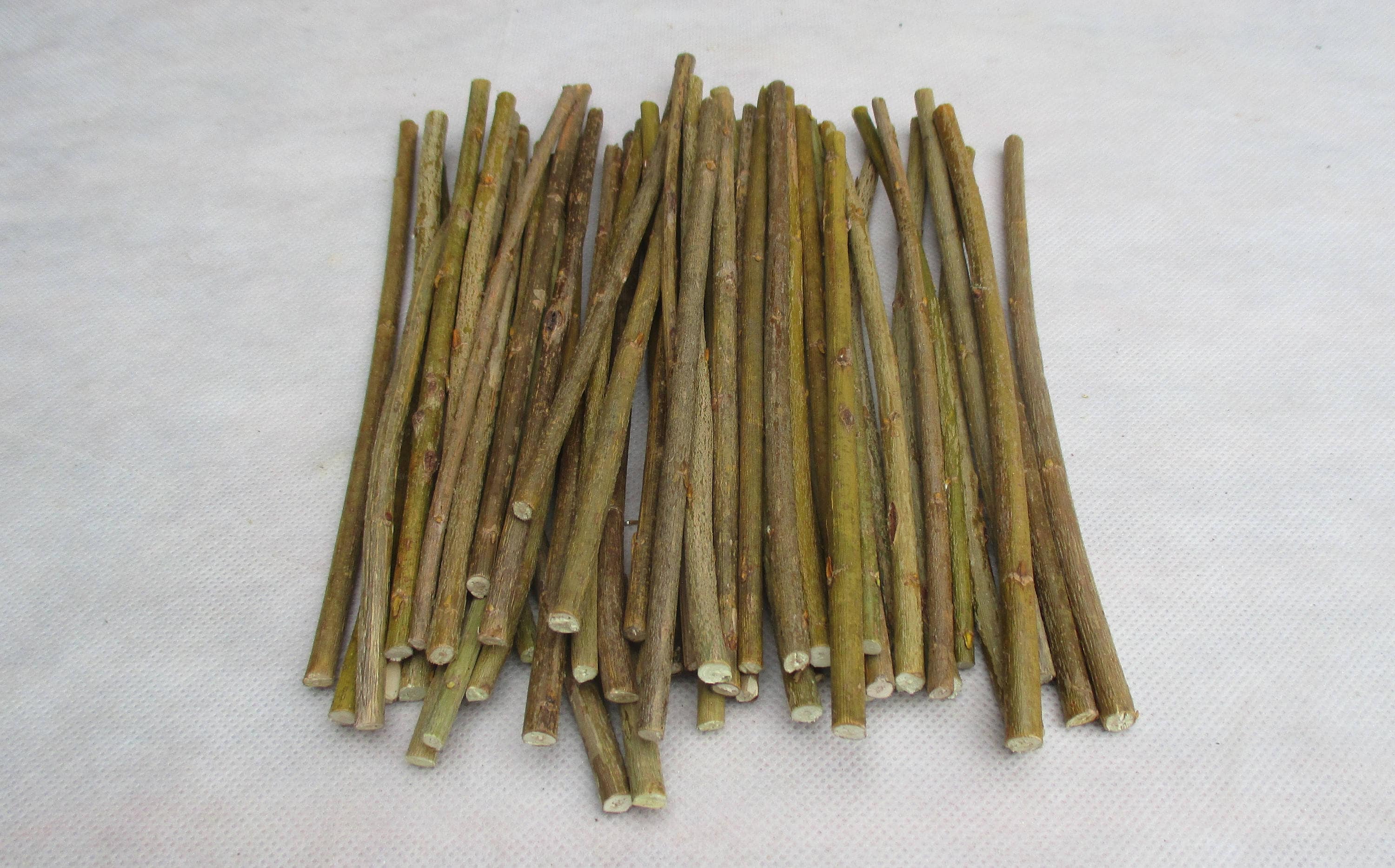 Willow twigs Straight willow sticks Willow bundle stick Etsy