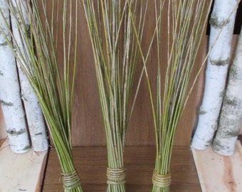 29" willow twigs, extra-long willow twigs, willow twigs, willow bundle