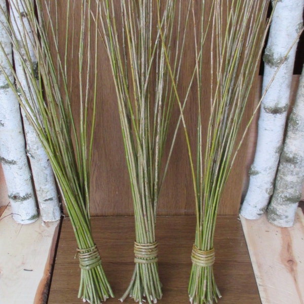 29" willow twigs, extra-long willow twigs, willow twigs, willow bundle