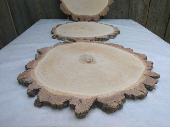 Unfinished Wood Slices Large Wood Slices for Crafts Wood