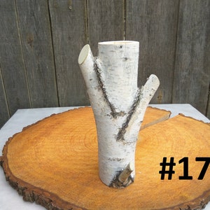 Tall wood vase, White birch vase image 1