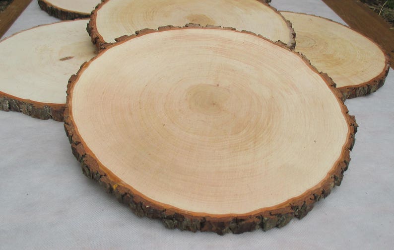 1213,Large Alder Wood Slice 12-13 inch,wood slice,wood slab,wood coaster,wood platter,Rustic Wedding Decor,Cake Stand,Wedding Centerpiece image 1