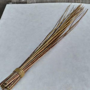 29&quot; willow twigs, extra-long willow twigs, willow twigs, willow bundle