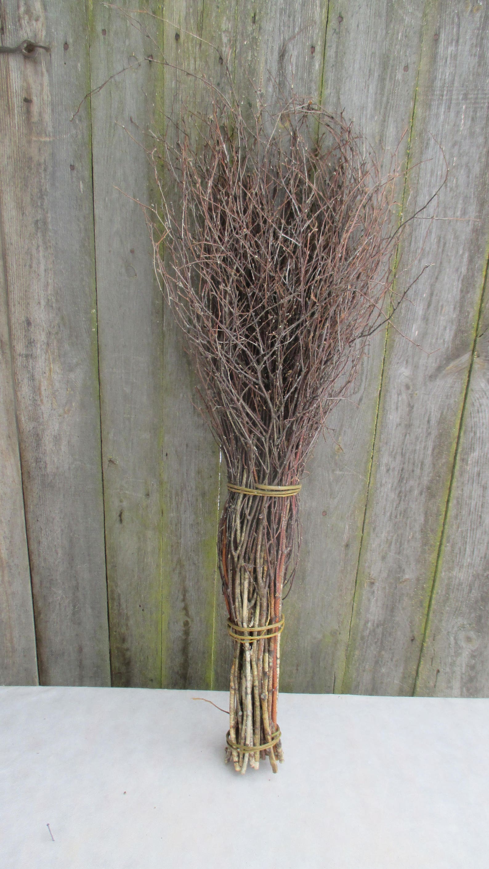 Extra Long Birch Twigs Birch Twigs Birch Tree Branches Etsy UK