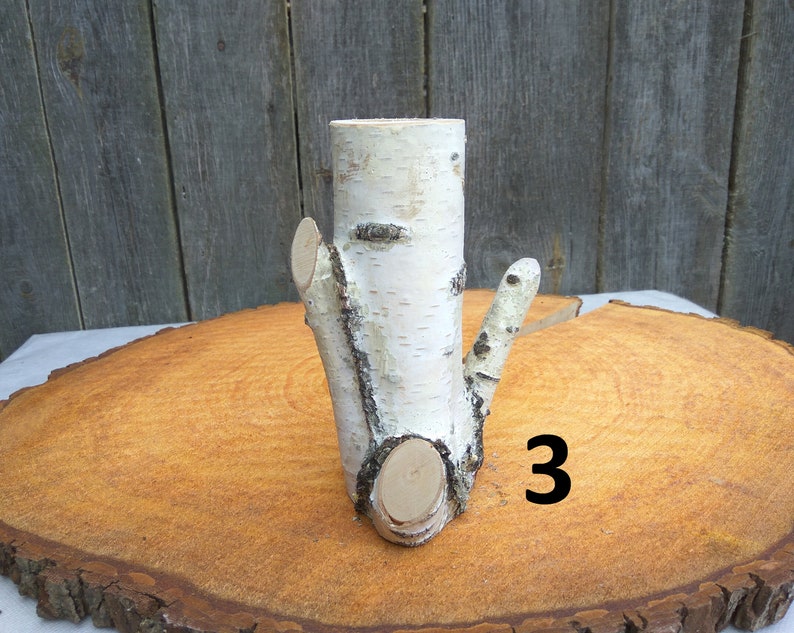 Birch Log Vase Birch Decor Birch Bark Decor Etsy