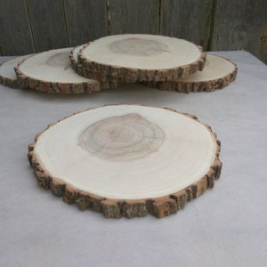 8.5-10 inch Wood Slice, 8.510 willow wood slice,wood coaster image 3
