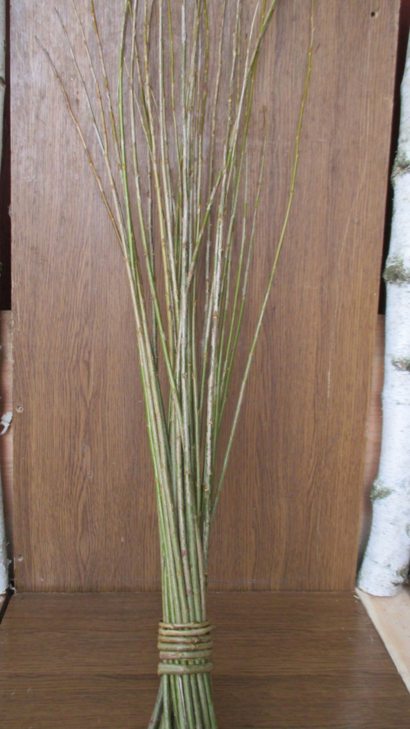 29 Willow Twigs, Extralong Willow Twigs, Willow Twigs, Willow Bundle
