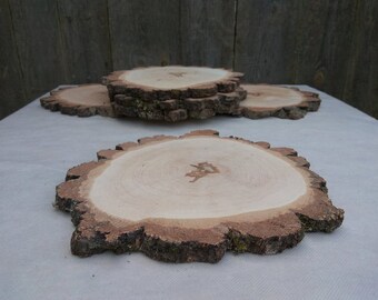 10-11" Birch Wood Slice, Rustic Wedding Charger, DIY Decor