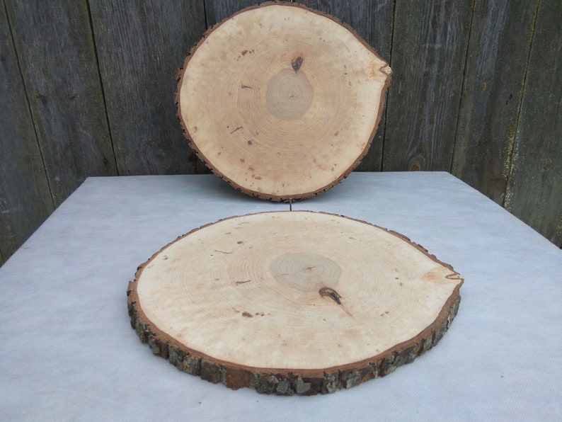 1213,Large Alder Wood Slice 12-13 inch,wood slice,wood slab,wood coaster,wood platter,Rustic Wedding Decor,Cake Stand,Wedding Centerpiece image 3