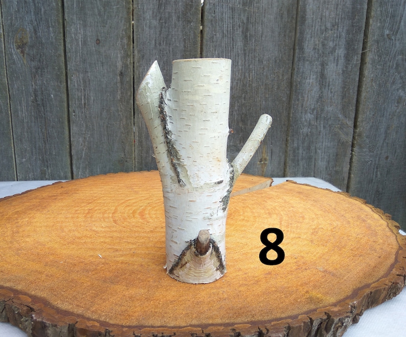 Large birch log vase birch decor birch bark decor table Etsy