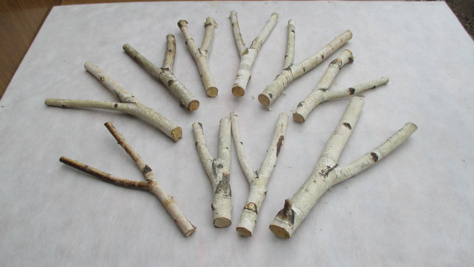 10 Forked Wood Sticks Birch Sticks White Birch Branches Etsy