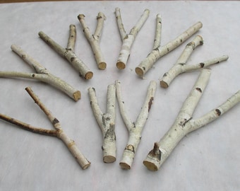 10 Forked White Birch Sticks, Craft Supplies (7-11'')