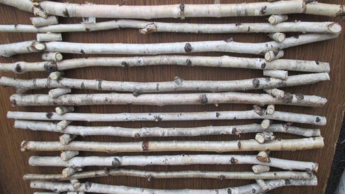 Birch branch decor wall decor Etsy