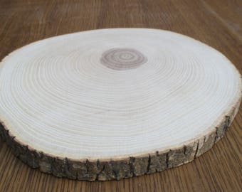 7"-9" wood slice, Large Ash-tree Slice 7-9 inch, ash woodslice, wood coaster