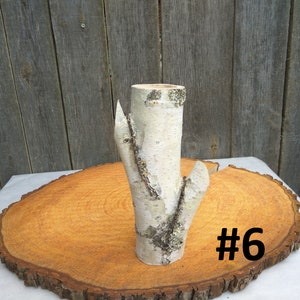 Tall wood vase, White birch vase image 7