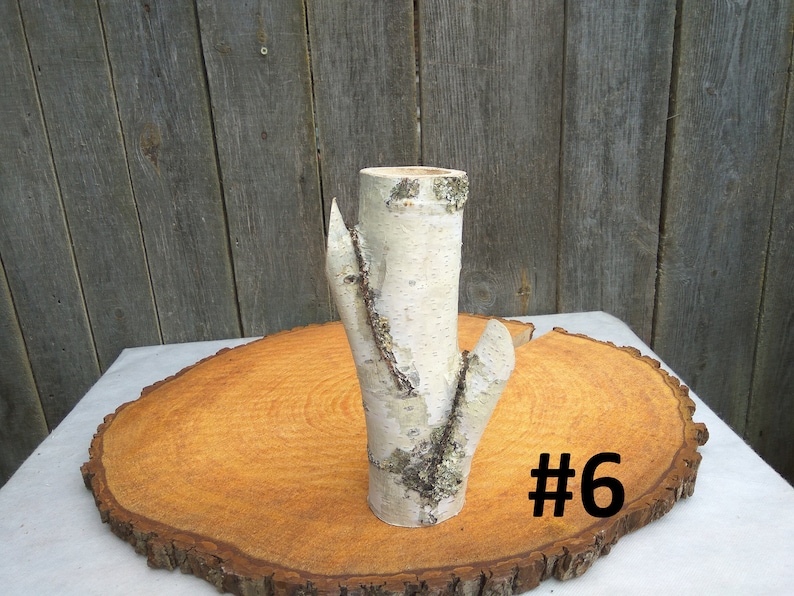 Tall wood vase, White birch vase image 7