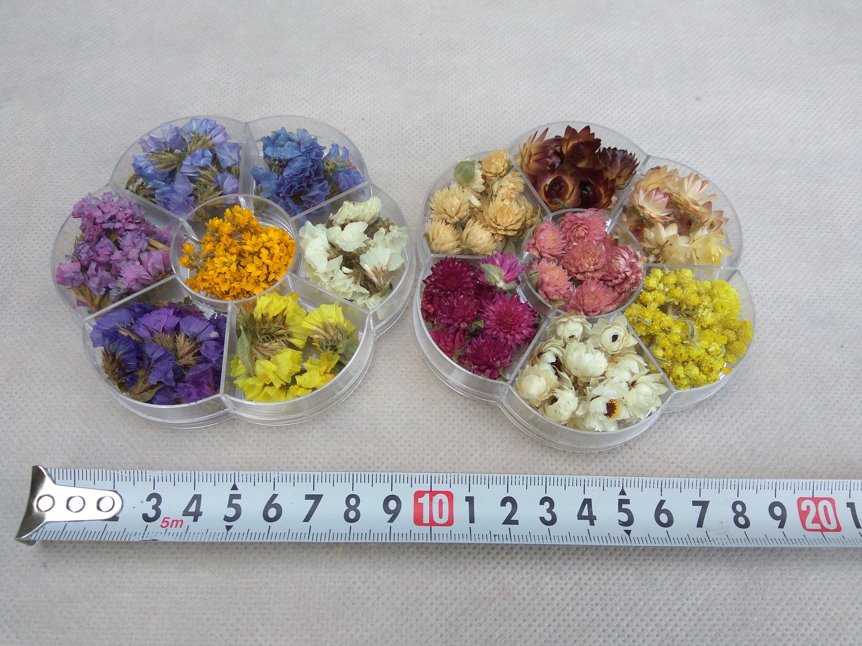 Set of Dried Mini Flowersmini Flowers Boxresin Jewelry Etsy