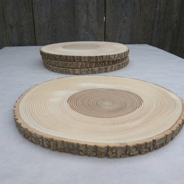 10"-11" wood slice, Ash wood Slice 10-11 inch