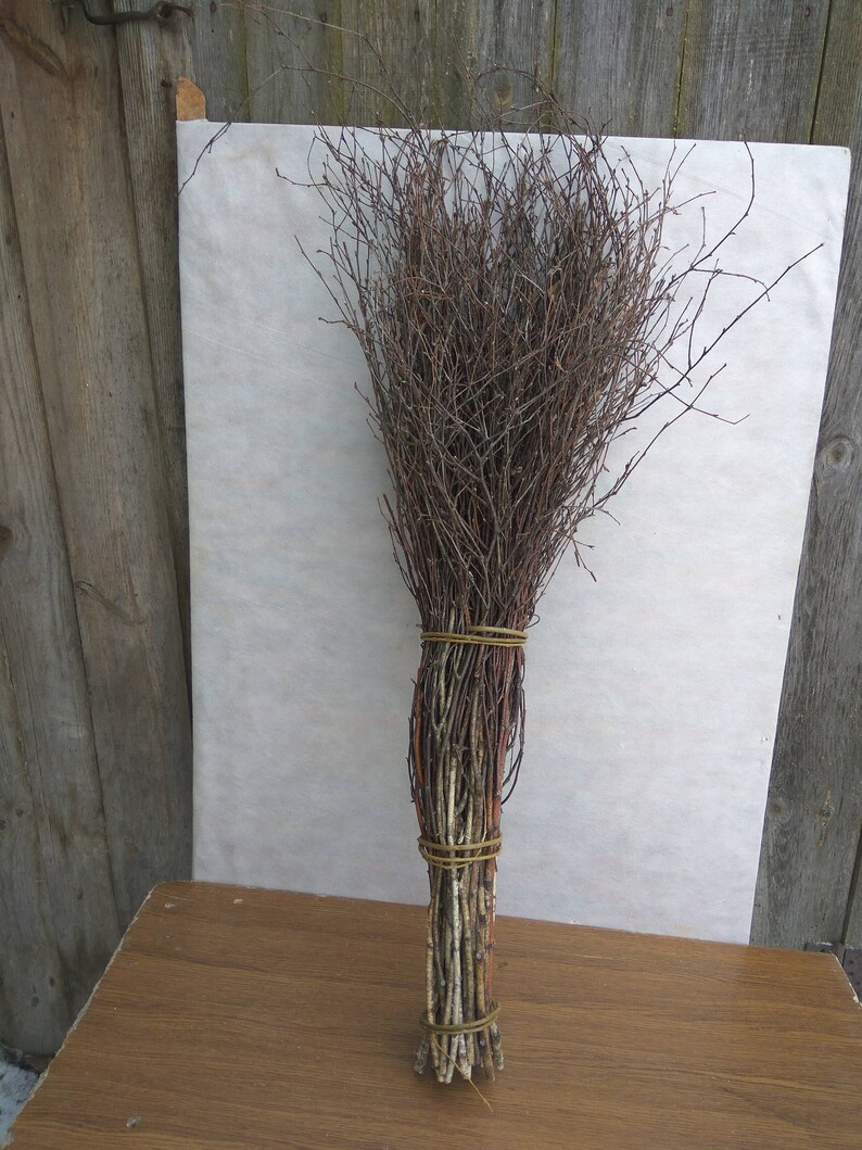 Extra Long Birch Twigs Birch Twigs Birch Tree Branches Etsy