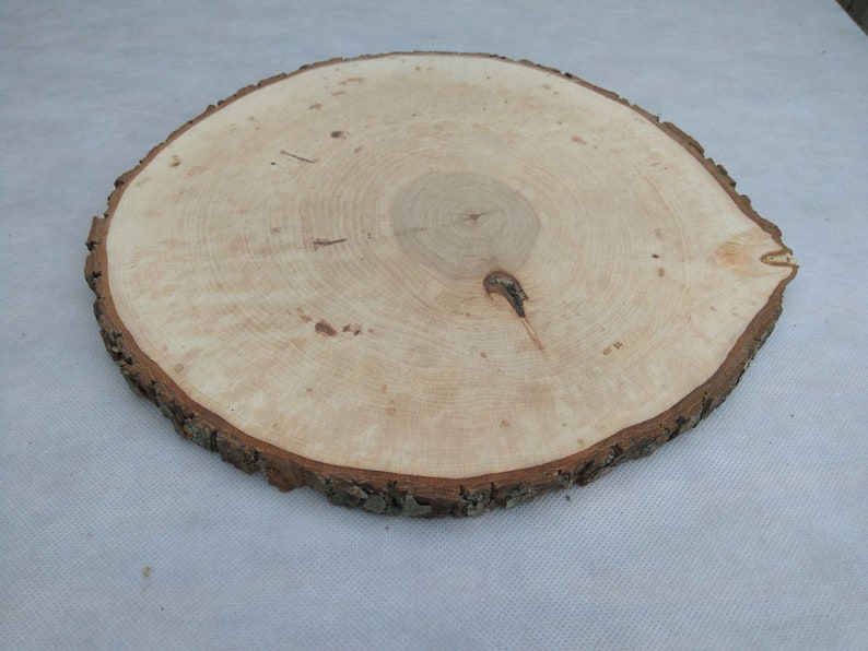 1213,Large Alder Wood Slice 12-13 inch,wood slice,wood slab,wood coaster,wood platter,Rustic Wedding Decor,Cake Stand,Wedding Centerpiece image 9