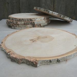 11&quot;-13&quot; Large Birch Wood Slice , 11-13 inch wood slice