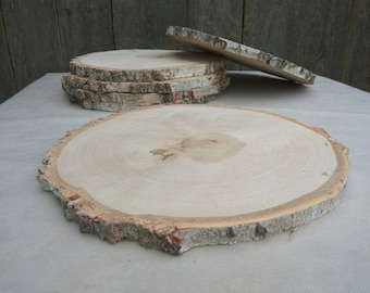 11&quot;-13&quot; Large Birch Wood Slice , 11-13 inch wood slice