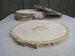 11'-13' Large Birch Wood Slice , 11-13 inch wood slice 