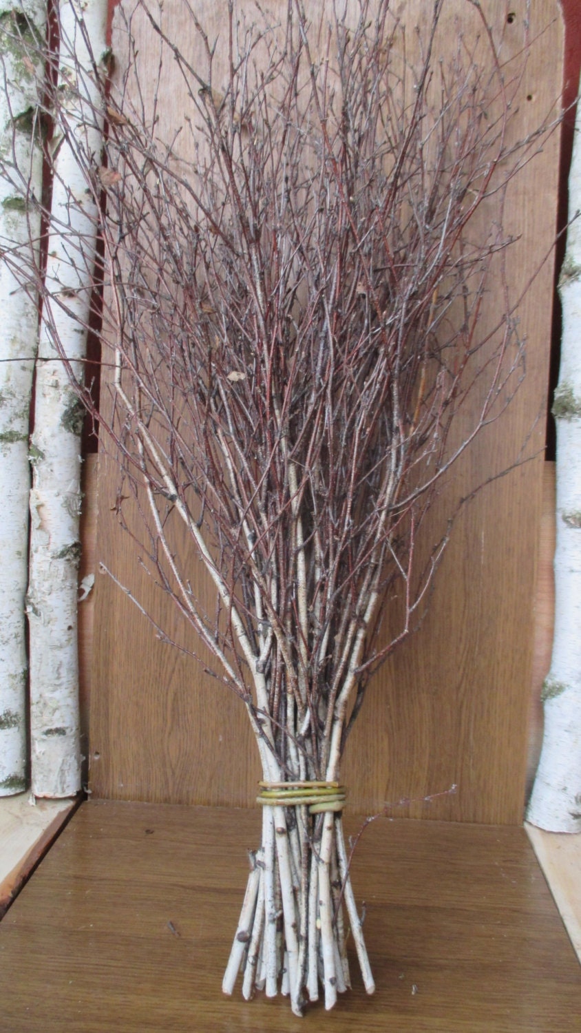 Natural Red White Birch Twigs 3-4 Foot Branches Floor Vase Tall Branch -   Log Cabin Decor