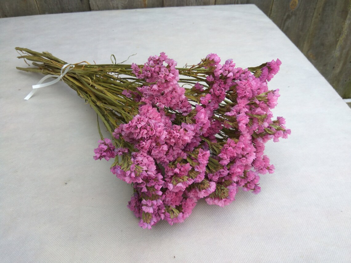 Dried statice dried limonium statice bouquet vase filler Etsy